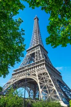 Eiffel Tower and trees Stock Photos