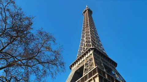 Eiffel Tower with bare trees Stockfoto's