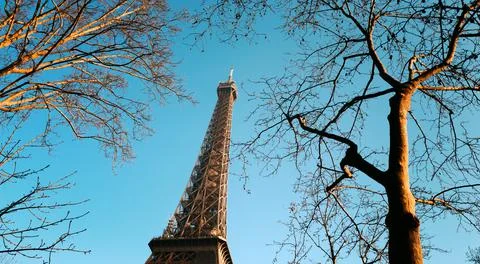 Eiffel Tower with bare trees Stock Photos