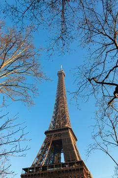 Eiffel Tower with bare trees Stockfoto's