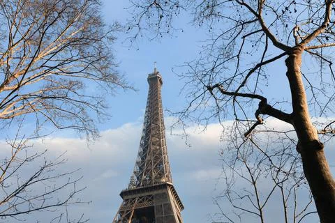 Eiffel Tower with bare trees Stockfoto's