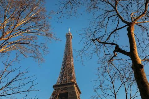 Eiffel Tower with bare trees Stock Photos