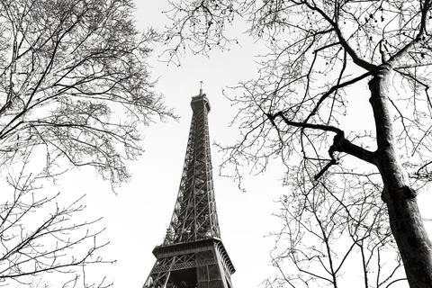 Eiffel Tower with bare trees Foto stock
