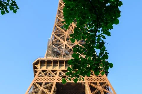Eiffel Tower base with leafy branch foreground Stock Photos