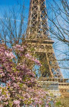 Eiffel tower beautiful spring summer photo. Selective focus. 스톡 사진