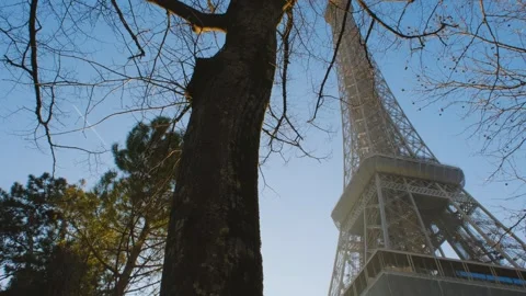 Eiffel Tower Behind a Tree Stock Footage 243303179