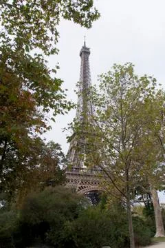Eiffel Tower behind the trees Stock Photos