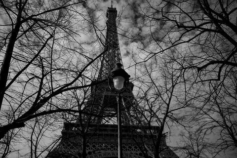 Eiffel Tower Behind Winter Trees in Paris, Black and White Horizontal Photo Stock Photos