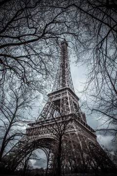 Eiffel Tower between tree branches in Paris, France Stock Photos