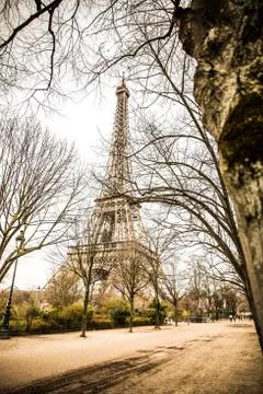 Eiffel Tower between tree branches in Paris, France Stock Photos