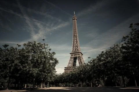 Eiffel tower between trees, Paris, France Foto stock