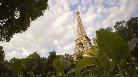 Eiffel Tower With Big Leaves in Foreground 스톡 동영상 127315521