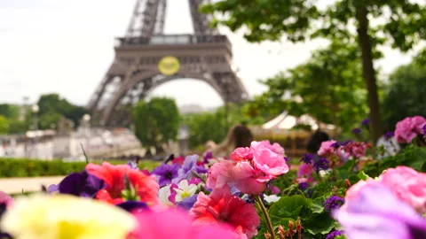 Eiffel Tower with blooming spring flowers, Paris, France Stock Footage 237923903