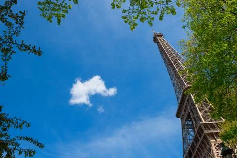 Eiffel Tower with a border of green trees leaves in Paris France at sunny day Photos
