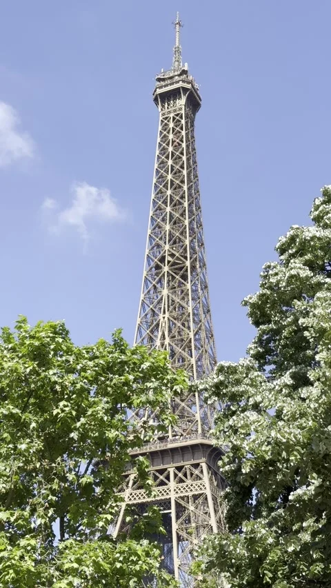 Eiffel Tower from Champ de Mars in Paris, France on a clear spring day 動画素材 337196677