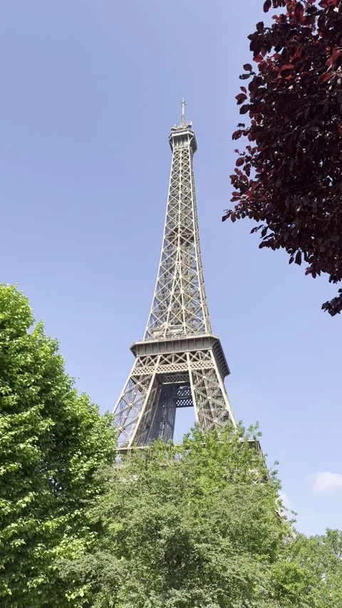 Eiffel Tower from Champ de Mars in Paris, France on a clear spring day Stock Footage 337196683