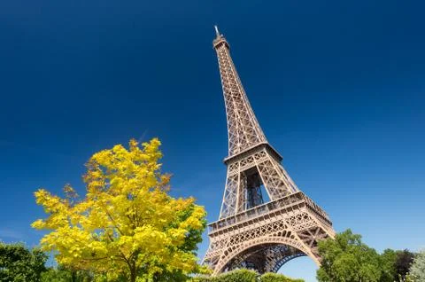 Eiffel Tower from the Champ de Mars gardens in summer. Stock Photos