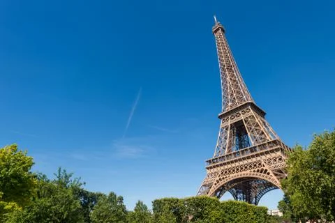 Eiffel Tower from the Champ de Mars gardens in summer. Stock Photos