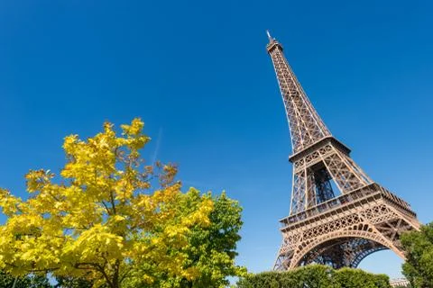 Eiffel Tower from the Champ de Mars gardens in summer. Stock Photos