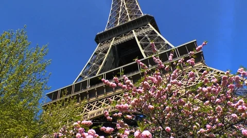 Eiffel Tower With Cherry Blossoms Video stock 87360867