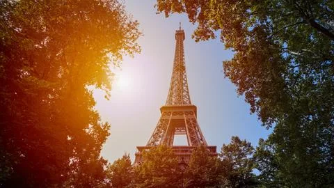 Eiffel Tower emerging from green trees in Paris with warm sunset light Stock Photos