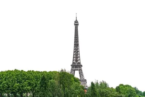 The Eiffel Tower emerging over trees isolated on white Fotos Stock