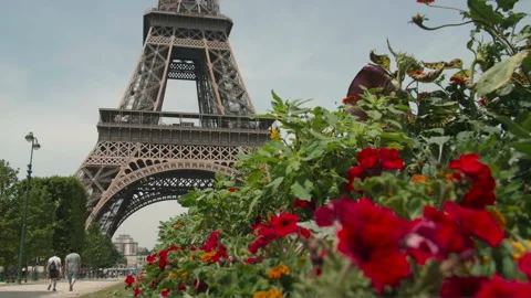 Eiffel Tower Flowers 003 Stock Footage 148749644