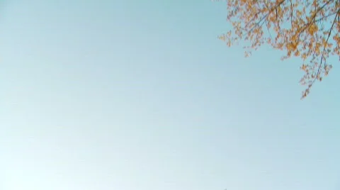 Eiffel Tower Stock Footage 514229