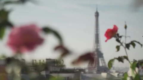 The Eiffel Tower 스톡 동영상 331932128