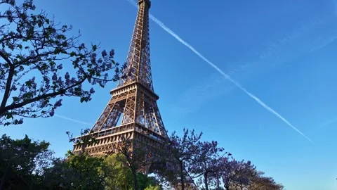 Eiffel Tower framed by blooming purple trees along street in Paris, France Stock Footage 336900327