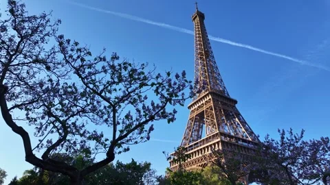 Eiffel Tower framed by blooming spring trees in Paris, France. Low angle Vidéo 336900180