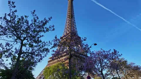 Eiffel Tower framed by blooming trees in Paris France Stock Footage 338344448