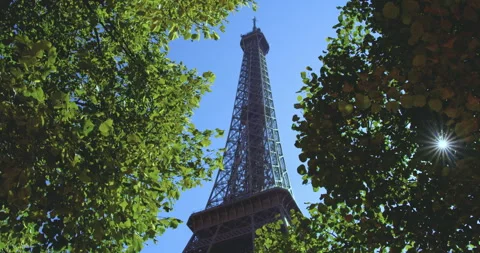 Eiffel Tower Framed by Green Trees and Sunlight in Paris Stock Footage 347408306