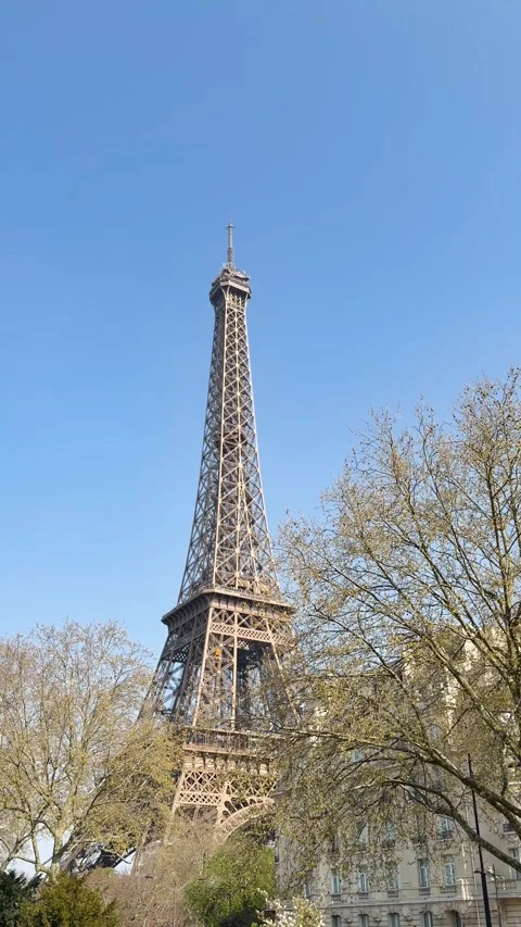 Eiffel Tower Framed by Leafy Trees on Clear Spring Day in Paris Urban Park Stock-Footage 340287912
