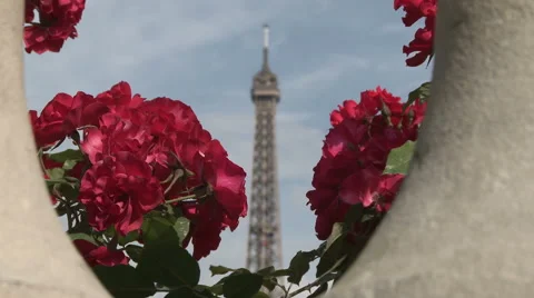 Eiffel Tower Framed by Red Flowers 2 Stock Footage 52882696