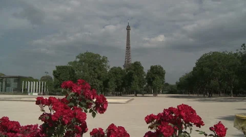 Eiffel Tower Framed by Red Flowers 3 Stock Footage 52882996
