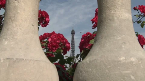 Eiffel Tower Framed by Red Flowers 4 Stock Footage 52883254