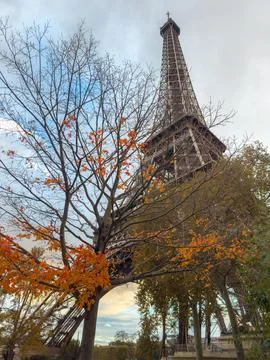 Eiffel Tower framed through autumn tree branches with dramatic clouds Foto stock
