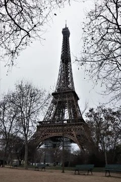 Eiffel Tower Framed with Trees Stock Photos