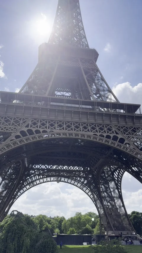Eiffel Tower with gardens and pond in Paris, France during spring Stock Footage 337196815