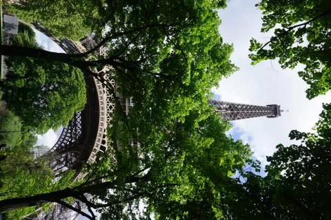 The Eiffel Tower Hidden by Trees Fotos Stock