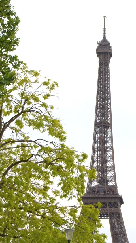 Eiffel Tower Landmark View Framed by Green Trees in Paris Stock Footage 335362088