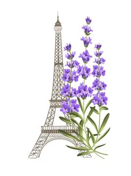 Eiffel tower with lavender Ilustração Stock
