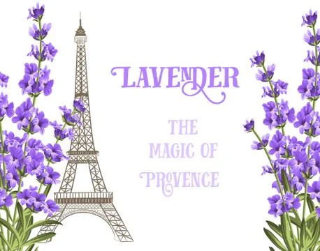 Eiffel tower with lavender Ilustração Stock