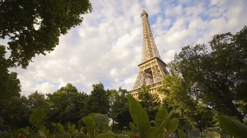 Eiffel Tower with Leaves in Foreground Stock Footage 127315664