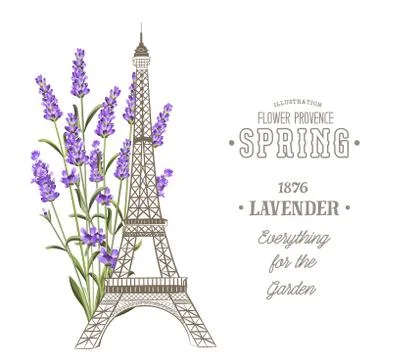 Eiffel tower over white Ilustração Stock