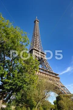 Eiffel tower in paris at day Stock Photos