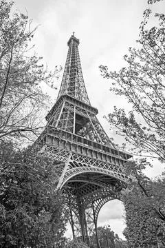 Eiffel Tower in Paris The Eiffel Tower in Paris, France. Black and white i... 写真素材