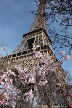 Eiffel Tower Paris Fotos de archivo