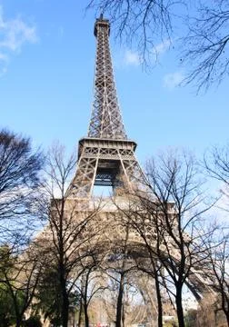 Eiffel tower in paris Foto stock